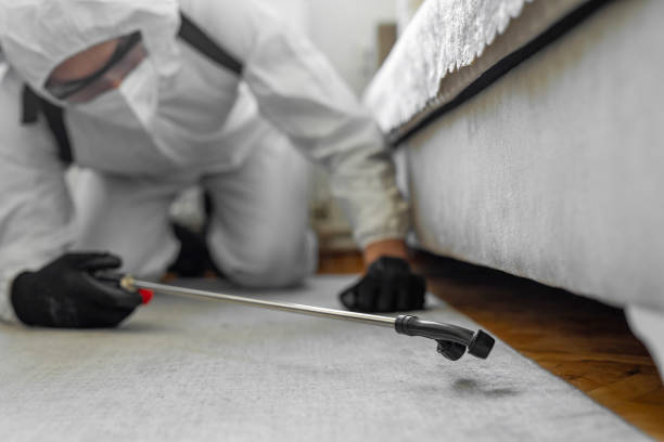 Professional Cockroach Control technician working in Pocola, OK