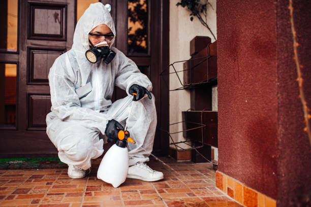 Reliable Cockroach Control contractor in Pocola, OK by Nex Pest Control